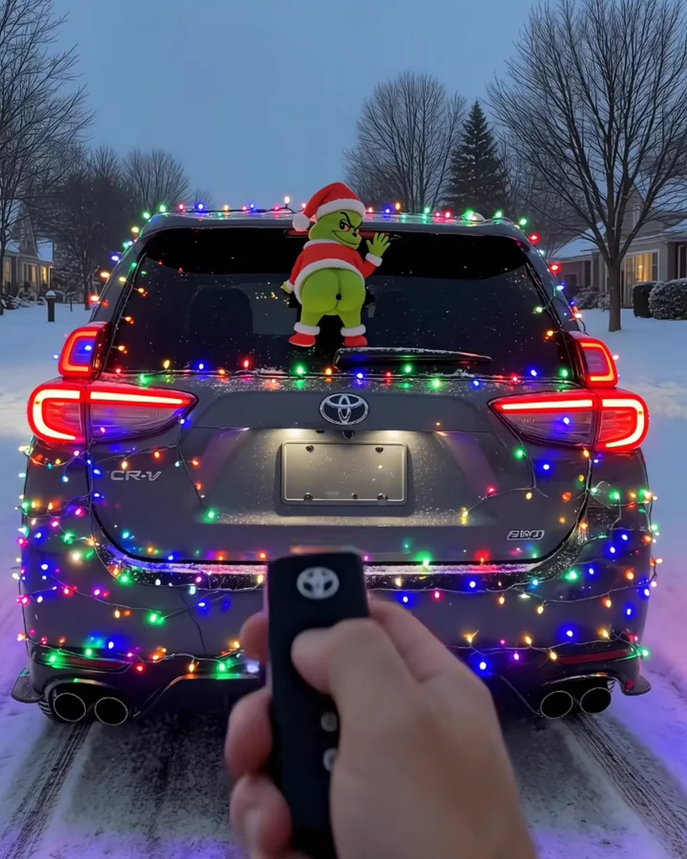 Merry Squirt Car Water Sprayer
